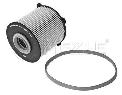Filtru combustibil diesel OPEL Cascada (W13) (An fabricatie 03.2013 - ..., 165 - 194 CP, Diesel) - Cod intern: M20447995 - LIVRARE DIN STOC in 24 ore!!!