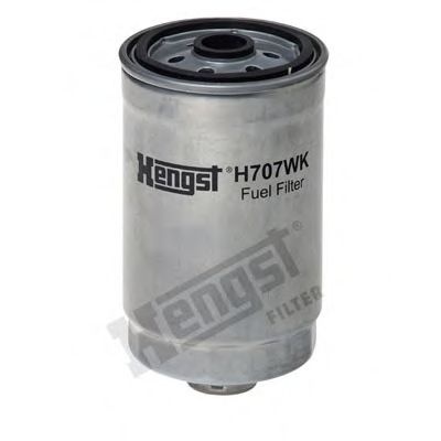 Filtru combustibil HYUNDAI SANTA FE II (CM) (2005 
