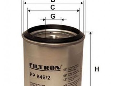Filtru combustibil JEEP CHEROKEE XJ FILTRON PP9462