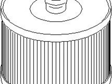 Filtru combustibil PEUGEOT 607 limuzina (9D, 9U), PEUGEOT 307 (3A/C), PEUGEOT 307 SW (3H) - TOPRAN 720 951