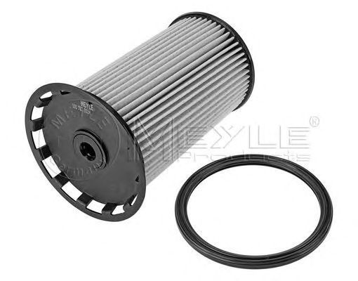 Filtru combustibil SEAT ALHAMBRA 710 711 MEYLE 100