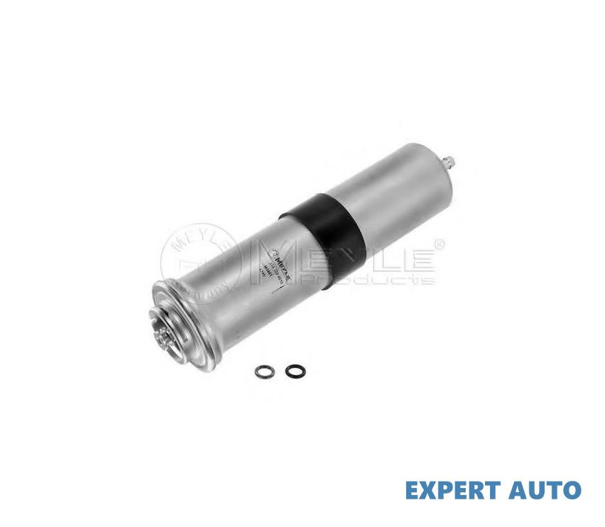 Filtru de combustibil BMW X1 (E84) 2009-2016 #2 13327823413
