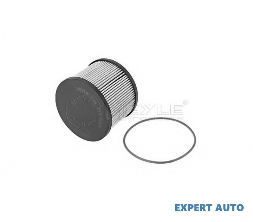 Filtru de combustibil Ford FOCUS III Turnier 2011-2016 #2 1681999
