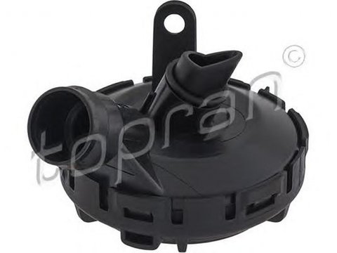 Filtru epurator AUDI A4 Avant 8ED B7 TOPRAN 113633