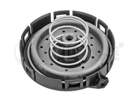 Filtru epurator BMW 6 E63 MEYLE 3140400000 PieseDeTop