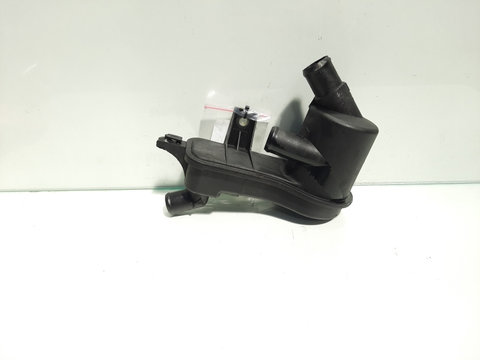 Filtru epurator gaze, cod XS4Q-6A785-AB, Ford Transit Connect (P65) 1.8 TDDI, BHPA (id:474717)