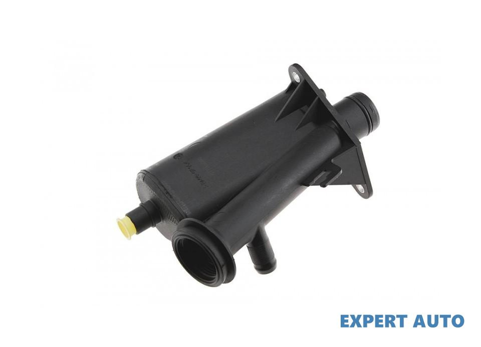 Filtru epurator Renault Laguna II (2001->)[BG0/1_,KG0/1_] #1 8200707066