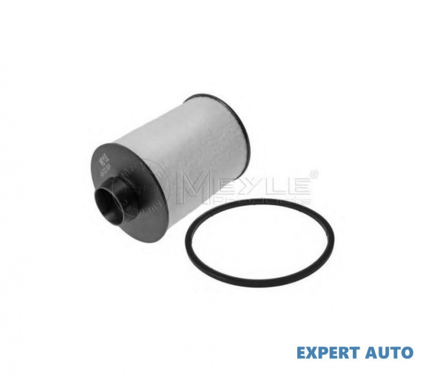 Filtru motorina Chevrolet NUBIRA limuzina 2005-2016 #2 0813569