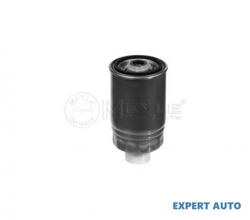 Filtru motorina Opel CORSA A TR (91_, 92_, 96_, 97_) 1982-1993 #2 068127177