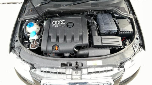 Filtru particule Audi A3 8P 2006 HB 2.0