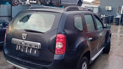 Filtru particule Dacia Duster 2013 SUV 1