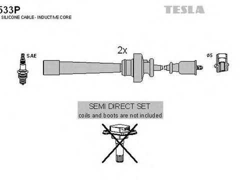 Fise bujii MITSUBISHI GRANDIS NA W TESLA TES T533P