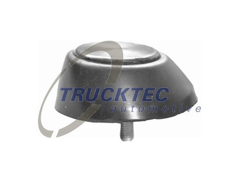 Fixare usa Usa spate vehicul (0253221 TRUCKTEC) MERCEDES-BENZ,VW