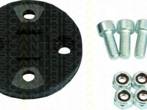 Flansa, coloana directie PEUGEOT 104, TALBOT SAMBA (51A), PEUGEOT 204 limuzina - TRISCAN 8500 2837