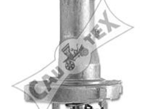 Flansa lichid racire FIAT BRAVO II 198 CAUTEX 011073