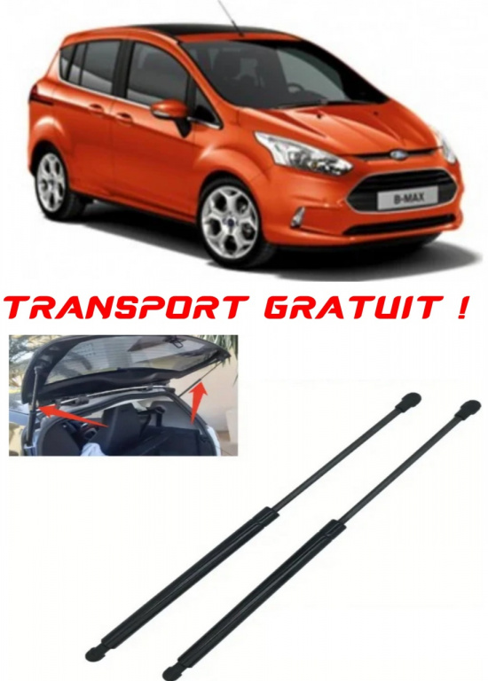 FORD B-MAX (JK) - Set 2 amortizoare pentru portbagaj / haion compatibil cu FORD B-MAX (JK) fabricat 2012 – 2020 STA877620-481