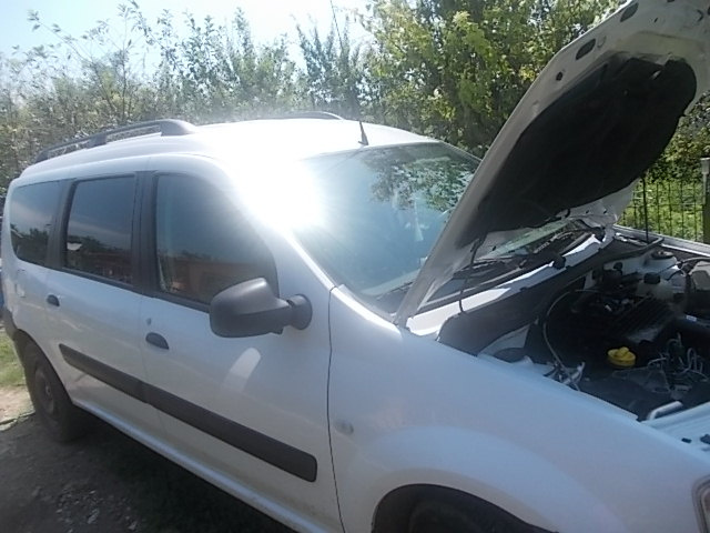 Fulie alternator Dacia Logan MCV 2008 br