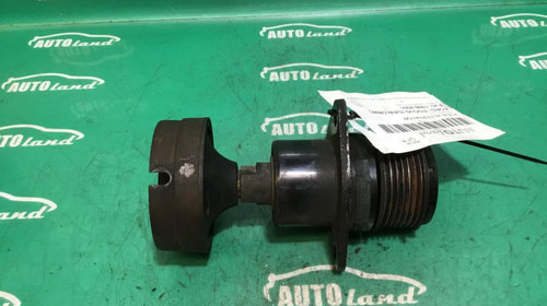 Fulie Alternator Prindere 3 cu 3 Ford FO