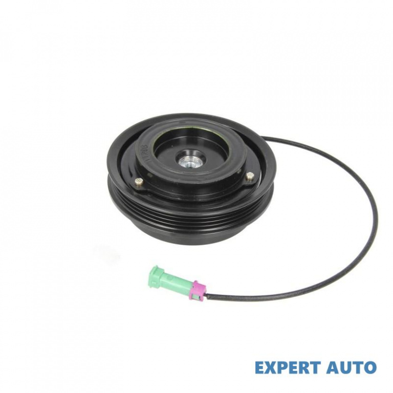 Fulie compresor clima Audi AUDI A4 Avant (8D5, B5) 1994-2001 #4 0300K011