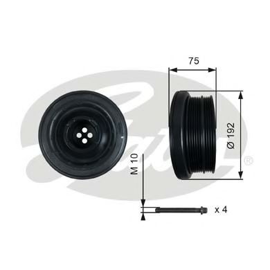 Fulie curea, arbore cotit BMW 5 (E60) (2003 - 2010) GATES TVD1050A