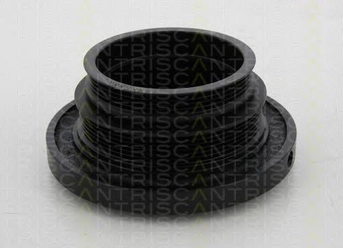 Fulie curea, arbore cotit BMW 5 limuzina (E39), BMW 5 Touring (E39), BMW 3 limuzina (E46) - TRISCAN 8643 11006