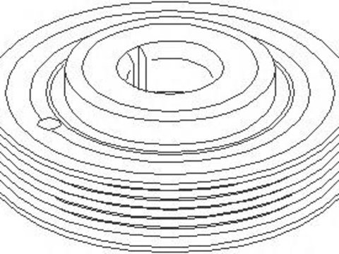 Fulie curea, arbore cotit PEUGEOT 806 (221), Citroen XANTIA (X1), Citroen ZX (N2) - TOPRAN 721 969