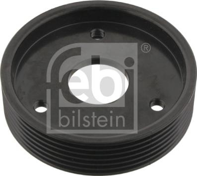 Fulie pompa servodirectie RENAULT CLIO II (BB_, CB_), Hatchback, 03.1998 - Febi Bilstein 29501