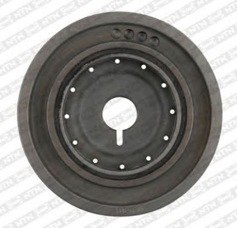 Fulie vibrochen RENAULT GRAND Scenic II JM0 1 SNR DPF35521