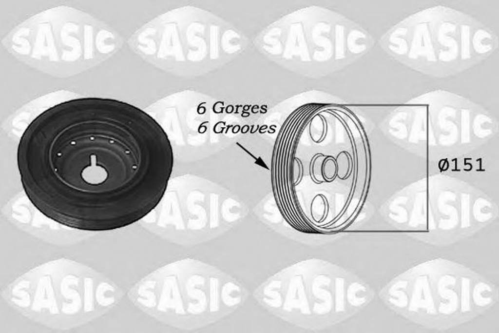 Fulie vibrochen RENAULT KANGOO BE BOP KW0 1 SASIC 