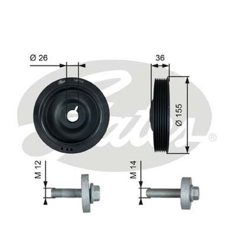 Fulie vibrochen RENAULT Scenic II JM0 1 GATES TVD1126A
