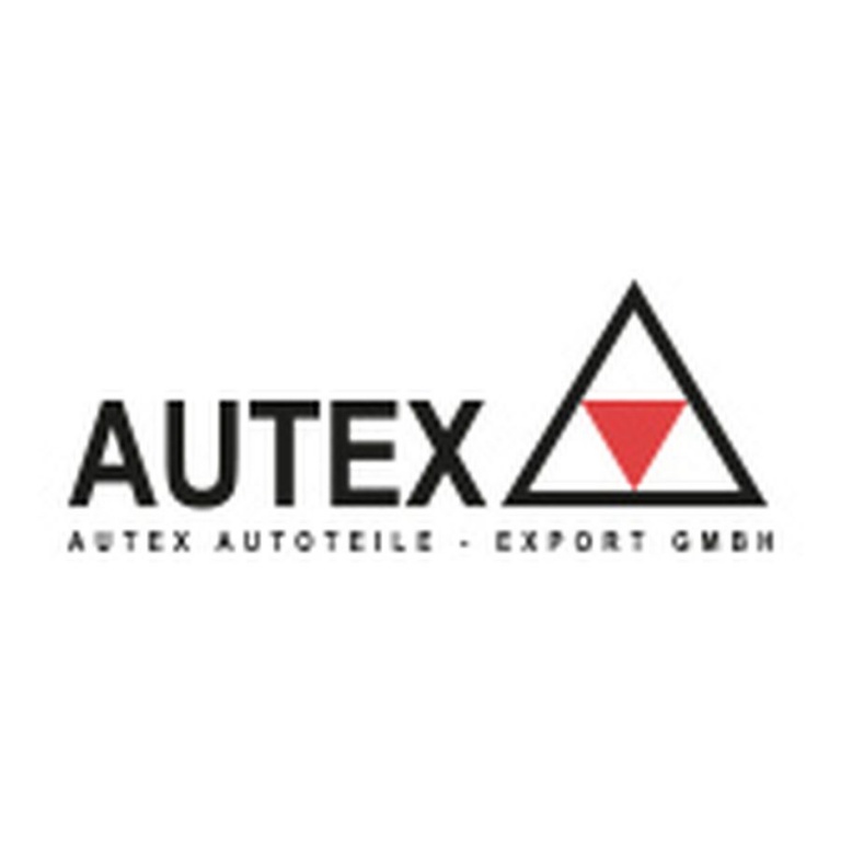 Fulie vibrochen RENAULT Scenic III JZ0 1 AUTEX 658384