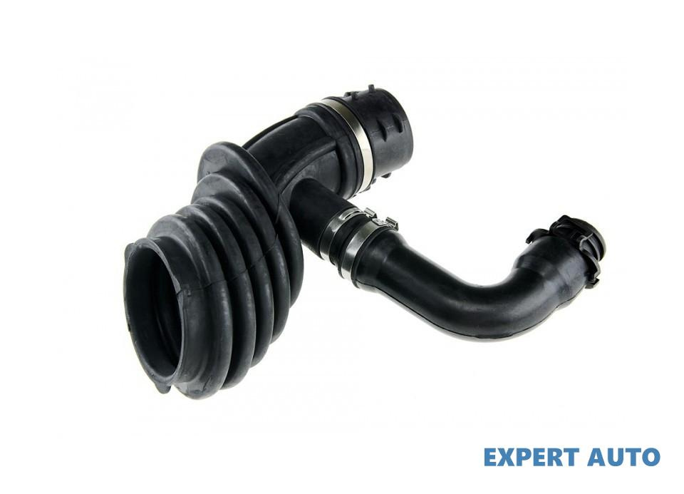 Furtun admisie Ford Focus C-Max (2003-2007)[DM2] #