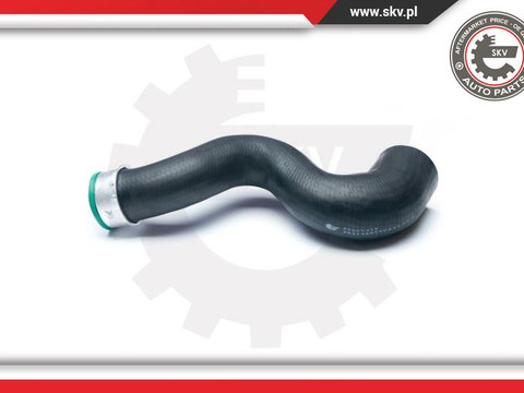 Furtun aer supraalimentare ; AUDI A4 B6 A6 C5 ; 8E0145834P