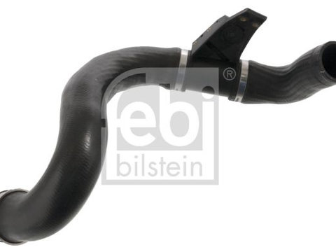 Furtun aer supraalimentare FEBI BILSTEIN 100242