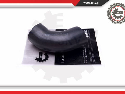 Furtun aer supraalimentare ; VW Beetle Golf VI Jetta IV ; 1K0145838AA