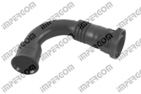 Furtun,aerisire bloc motor SEAT IBIZA Mk IV (6L1) 