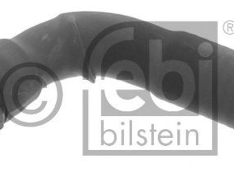 Furtun,aerisire bloc motor VW TOURAN (1T1, 1T2) (2003 - 2010) Febi Bilstein 45319