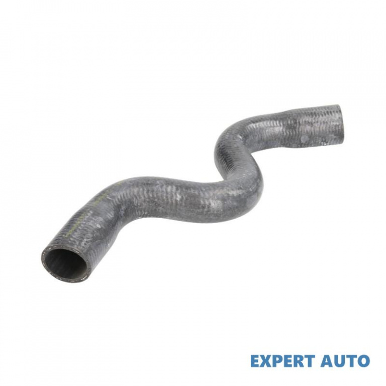 Furtun apa Dacia SANDERO 2008-2016 #4 3929