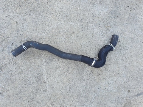 Furtun apa Renault Laguna 3, 2009, 215010012N