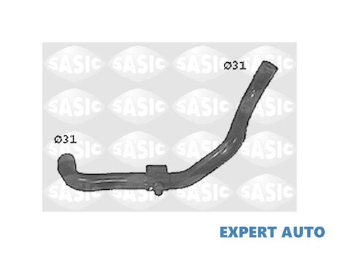 Furtun apa Renault TWINGO I (C06_) 1993-2016 #2 08779