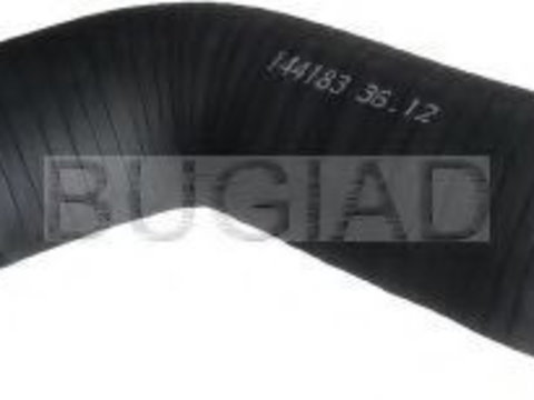 Furtun ear supraalimentare AUDI A4 (8EC, B7) (2004 - 2008) BUGIAD 86651