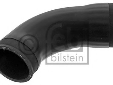Furtun ear supraalimentare BMW 3 (E46) (1998 - 2005) FEBI BILSTEIN 49083