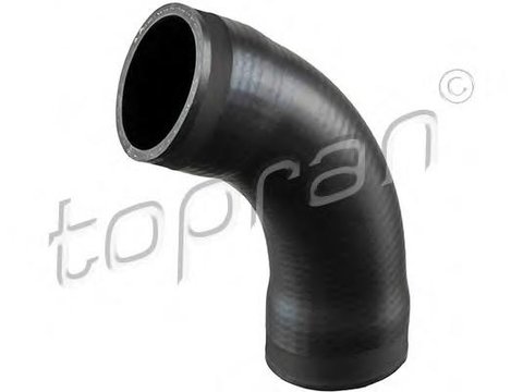 Furtun ear supraalimentare BMW 7 limuzina (E38), BMW 5 limuzina (E39), BMW 5 Touring (E39) - TOPRAN 501 984