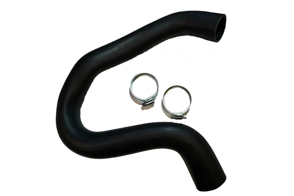 Furtun ear supraalimentare BUGIAD 81888 pentru CITROEN C4 PICASSO II 2013-2021