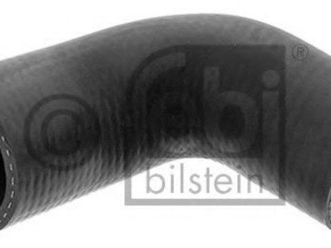 Furtun ear supraalimentare FORD FOCUS C-MAX (2003 - 2007) FEBI BILSTEIN 47191