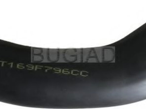 Furtun ear supraalimentare FORD TRANSIT CONNECT (P65_, P70_, P80_) (2002 - 2016) BUGIAD 88617