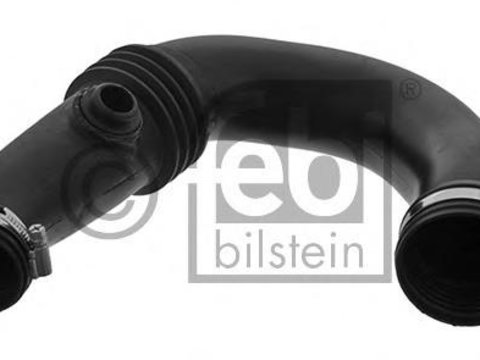 Furtun ear supraalimentare RENAULT CLIO Mk II (BB0/1/2_, CB0/1/2_), RENAULT CLIO II caroserie (SB0/1/2_), DACIA LOGAN (LS_) - FEBI BILSTEIN 45375