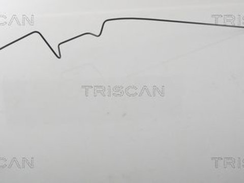 Furtun frana 8150 25238 TRISCAN pentru Renault Megane