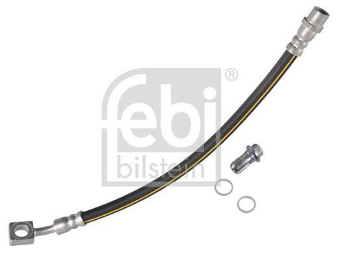 Furtun frana FEBI BILSTEIN 172500