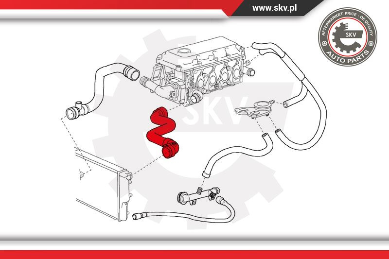 Furtun radiator ; BMW E46 316 ; 11531436407